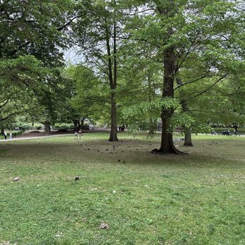 Central Park Conservancy - Parks Near Me - New York, New York