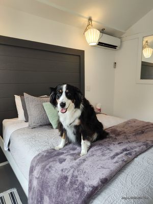 Summer House by null