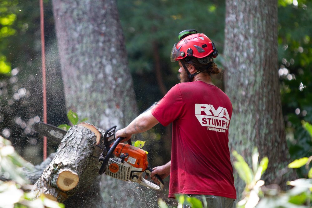 RVA Stumps - tree service in Henrico, VA