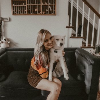 Good Boy Training - Enzo! - Pet Training Near Me Good Boy Training - Enzo! - Pet Training Near Me