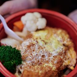 Donburi Cafè - Katsu with Udon and Vegetables