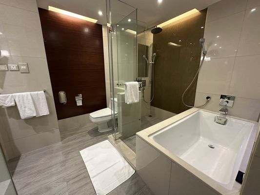 Hyatt Regency Hong Kong, Tsim Sha Tsui by null