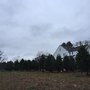 Photo of Greenwood Tree Farm