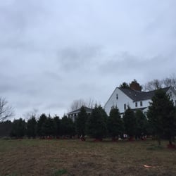Greenwood Tree Farm