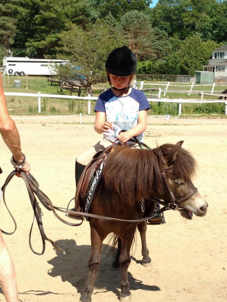 TWIN GATES FARM 29 Photos 195 Mammoth Rd, Londonderry, New