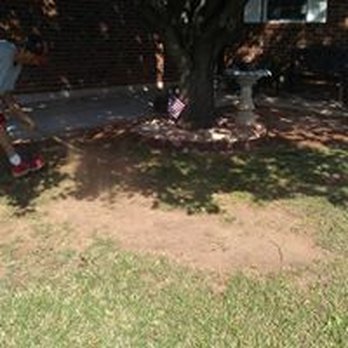 Moore Than Trees - Tree Services Near Me Moore Than Trees - Tree Services Near Me