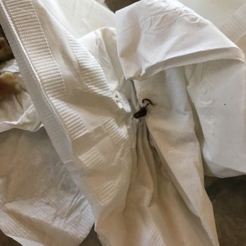 Sinh Sinh - Cockroach in our food!!! Nasty!! - Chinese Near Me - Houston, Texas Sinh Sinh - Cockroach in our food!!! Nasty!! - Chinese Near Me - Houston, Texas