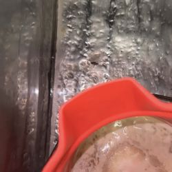 Frosty Freeze - Adult sized roaches under their topping bar