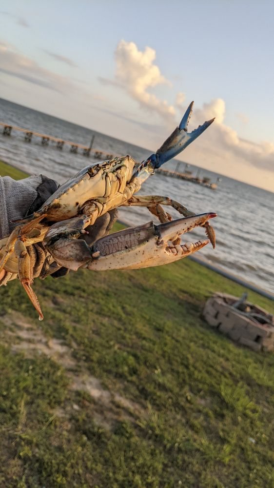 RV ON THE WATER Updated July 2024 25 Photos 618 Porpoise Dr