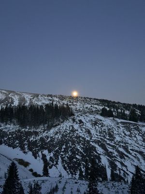 Mt Hood by null