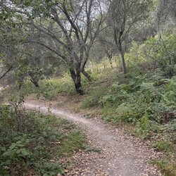 James Way Oak habitat And Wildlife Preserve