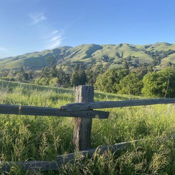Ed R. Levin County Park - Dog Parks Near Me - Milpitas, California