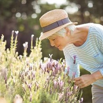 Senior Choice - Elder Care Planning Near Me Senior Choice - Elder Care Planning Near Me