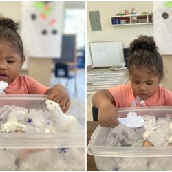 Montessori Oaks - Preschooler playing with ice and ice animals