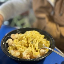 Tagliatelle alfredo with shrimp
