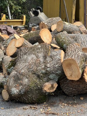 Pioneer Pit Beef by null