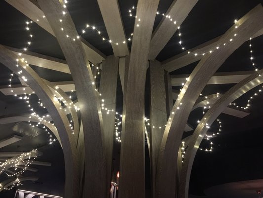 Gaucho Edinburgh by null