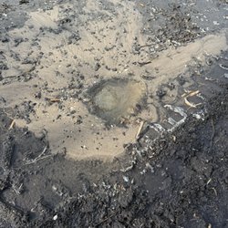 Sembler and Sons Plumbing - Busted water line