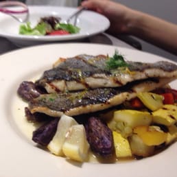 Rainbow Trout
