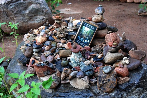 White Rabbit Books & Curiosities by null