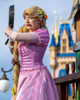 Magic Kingdom Park by null