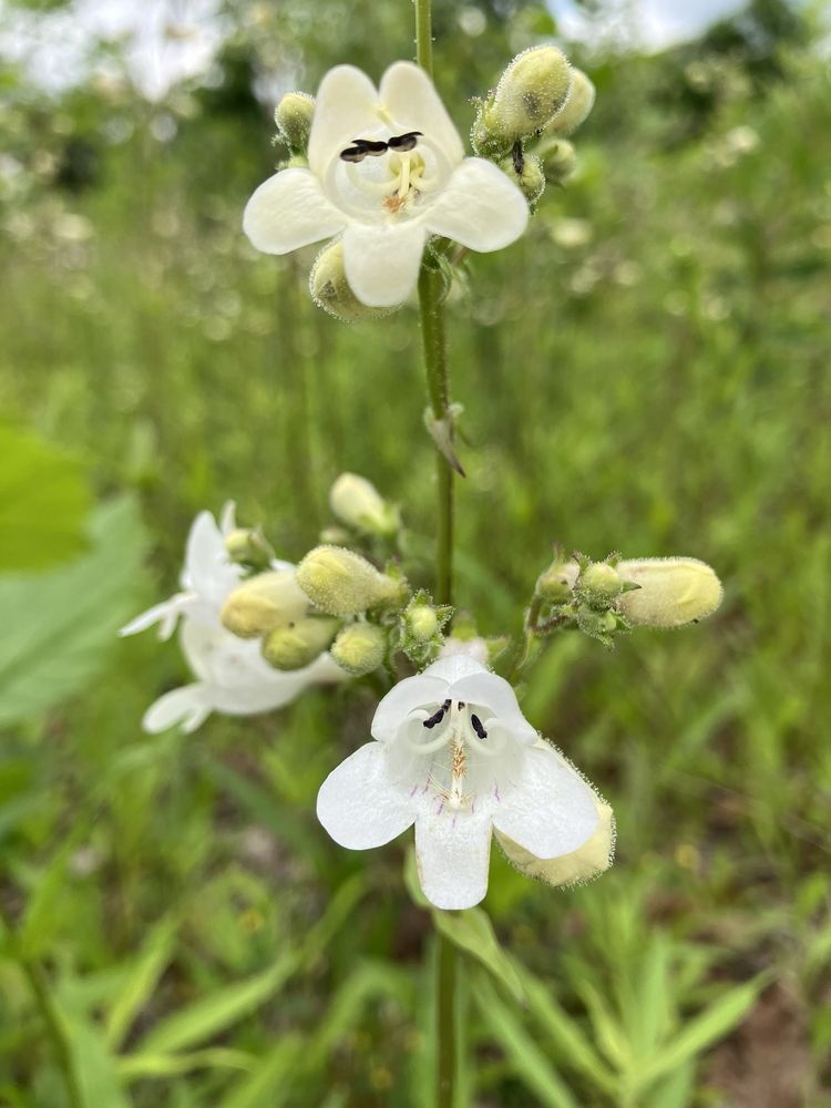 Aspinwall Riverfront Park