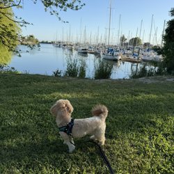 Buckley Cove Boat Launch