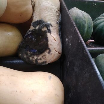 Super King Markets - Moldy squash just chillin' - International Grocery Near Me - Van Nuys, California