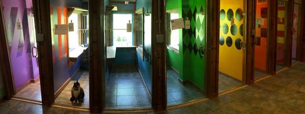 milton manor boarding