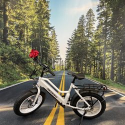 Pedego Electric Bikes Walled Lake - V2 Element