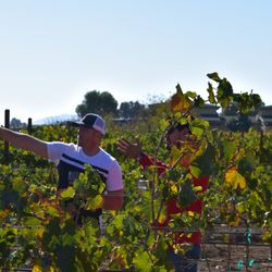 Take In Baja & The Grape Underground - Scouting the Vineyards in Valle de Guadalupe