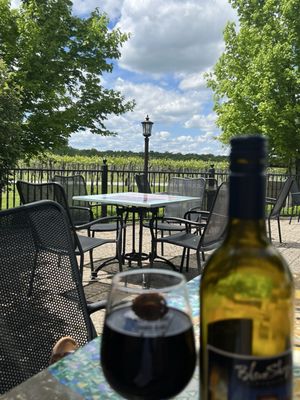 Blue Sky Vineyard by null
