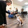 Photo of Salon N'Gage