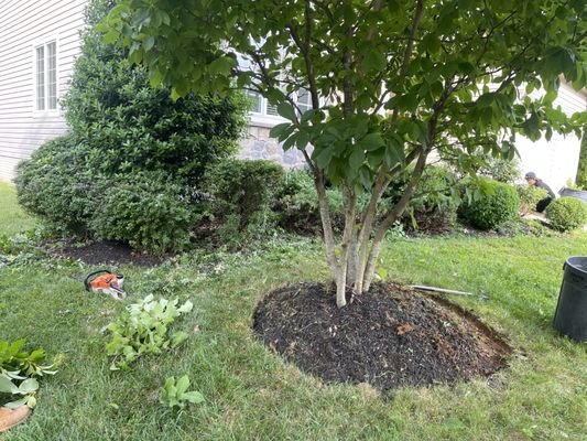 Landscaping Project - Landscaping Project Landscaping Project - Landscaping Project