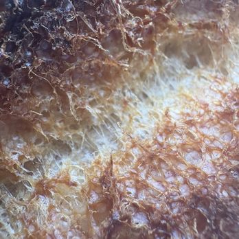 Ad Astra Bread Co - Close up of sourdough crust - Bakeries Near Me - Monterey, California