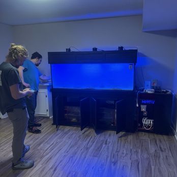 Triad Aquatic Critters - Aquarium Services Near Me - Greensboro, North Carolina Triad Aquatic Critters - Aquarium Services Near Me - Greensboro, North Carolina