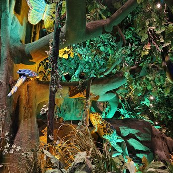 Rainforest Cafe - American Near Me - Ontario, California