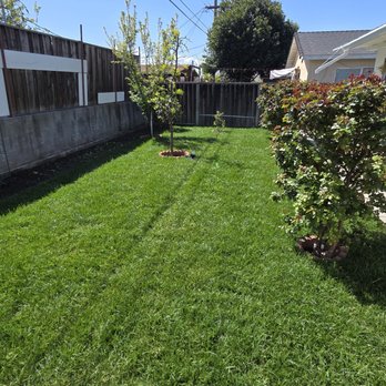 Figueroa's Landcare - After - Lawn Services Near Me Figueroa's Landcare - After - Lawn Services Near Me