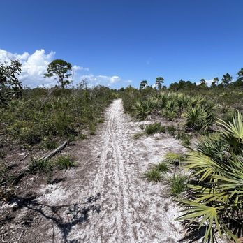 North Sebastian Conservation Area - Parks Near Me - Sebastian, Florida North Sebastian Conservation Area - Parks Near Me - Sebastian, Florida