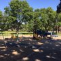 Photo of Fuller Park
