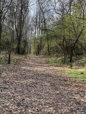 Red Mountain Park by null
