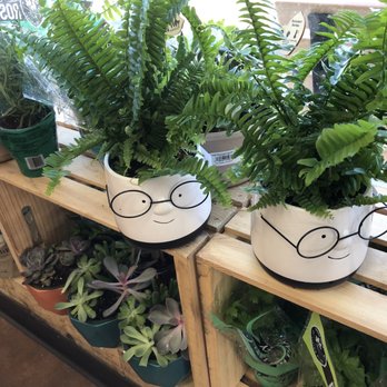 Trader Joe's - Grocery Near Me - Westport, Connecticut