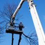 Photo of Warwick Tree Pros