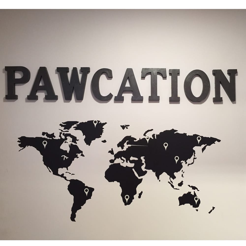 PAWCATION 20 Photos 479 Joo Chiat Rd, Singapore, Singapore Pet