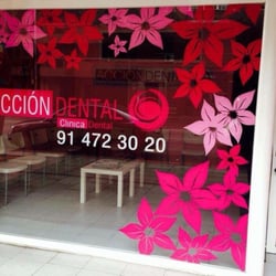 Acción Dental