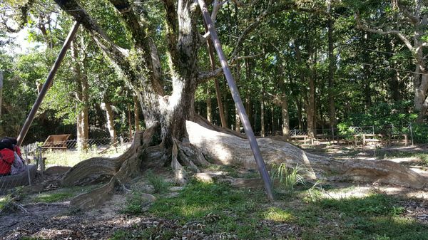 Kenting National Forest Recreation Area by null