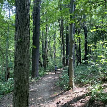 Moon Park - Parks Near Me - Moon, Pennsylvania