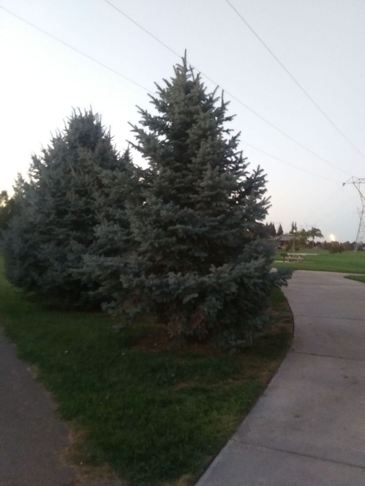 MICHAEL FAKLIS PARK Updated October 2024 25 Photos & 18 Reviews