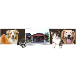 Cicero Animal Clinic - Cicero Animal Clinic