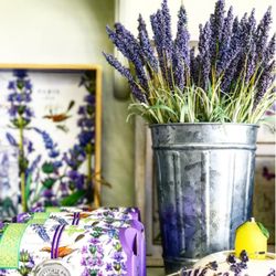 Lemon & Lavender